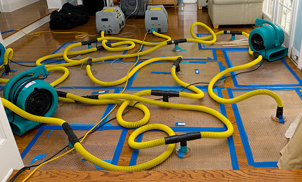 Professional Storm Water Damage Restoration technician working in Springfield Gardens, NY